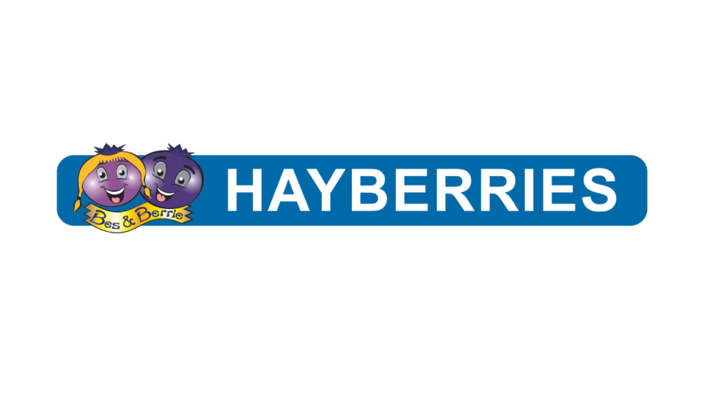 Hayberries bij Open Brains