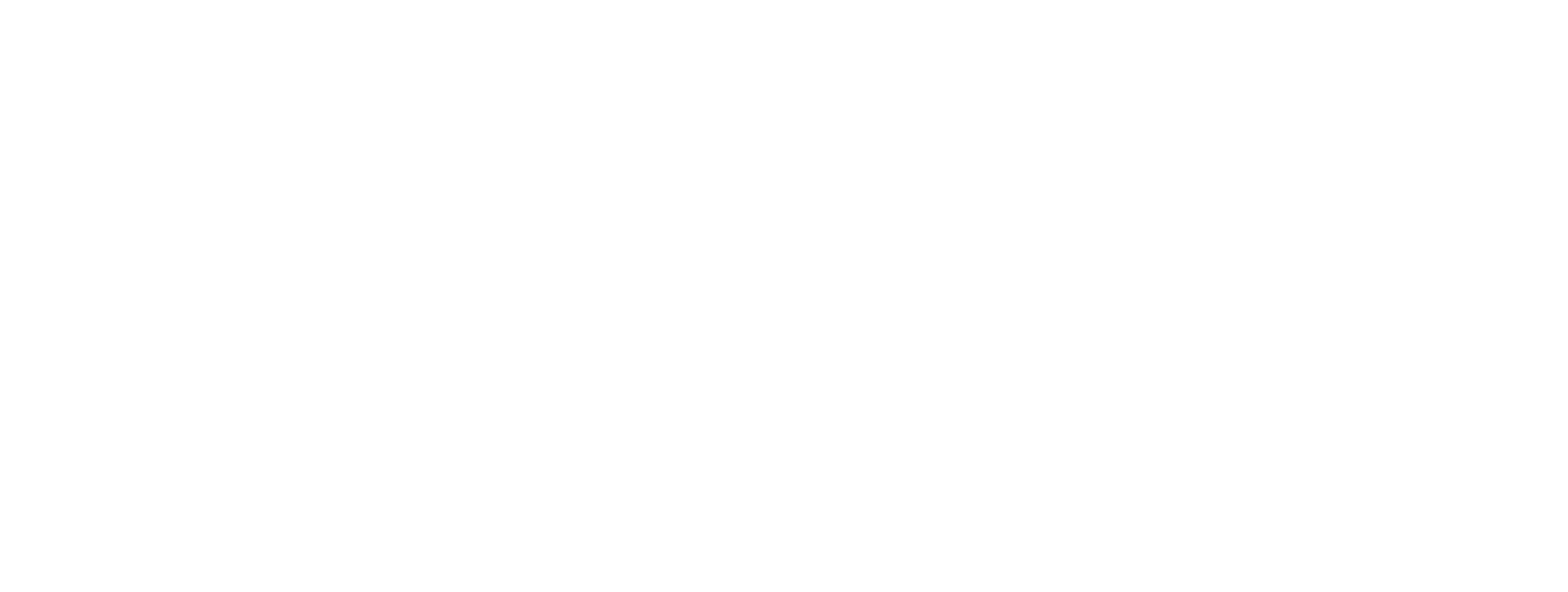 Open Brains historie